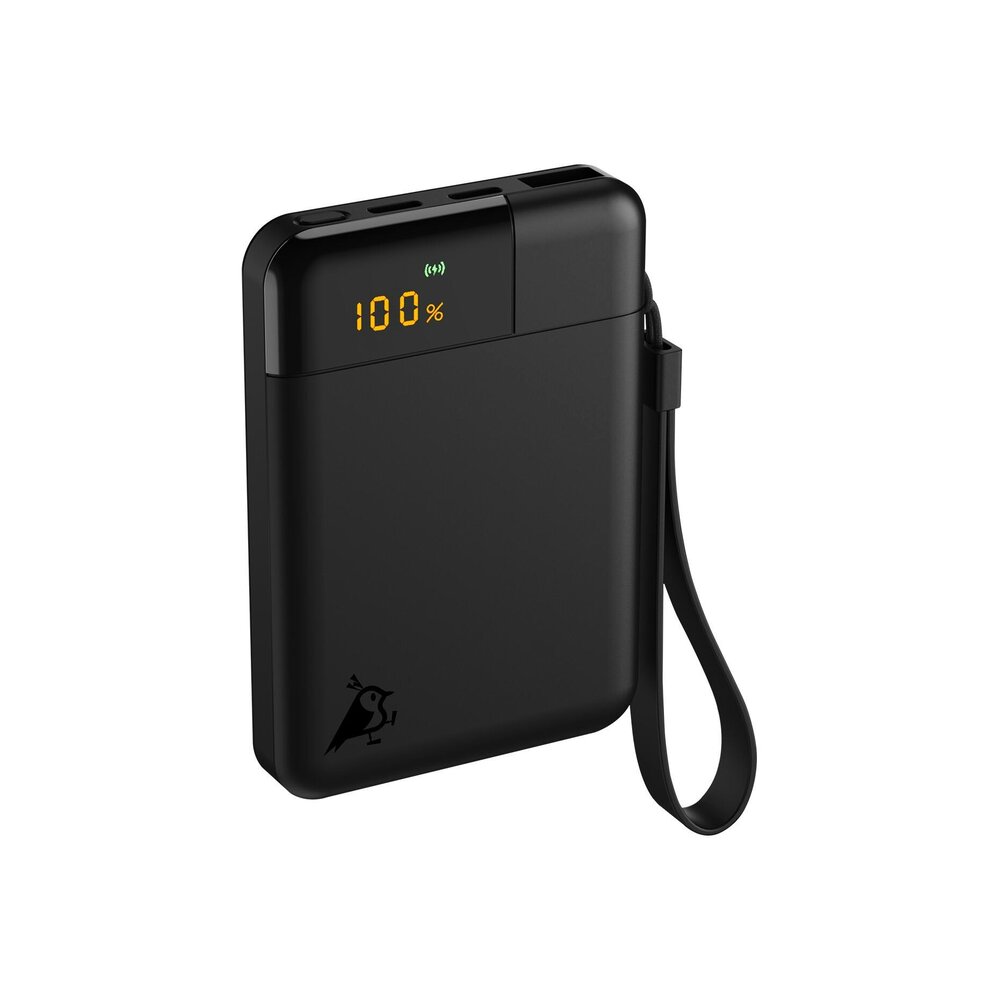 Powerbank Powerbird B5 5000 mAh svart