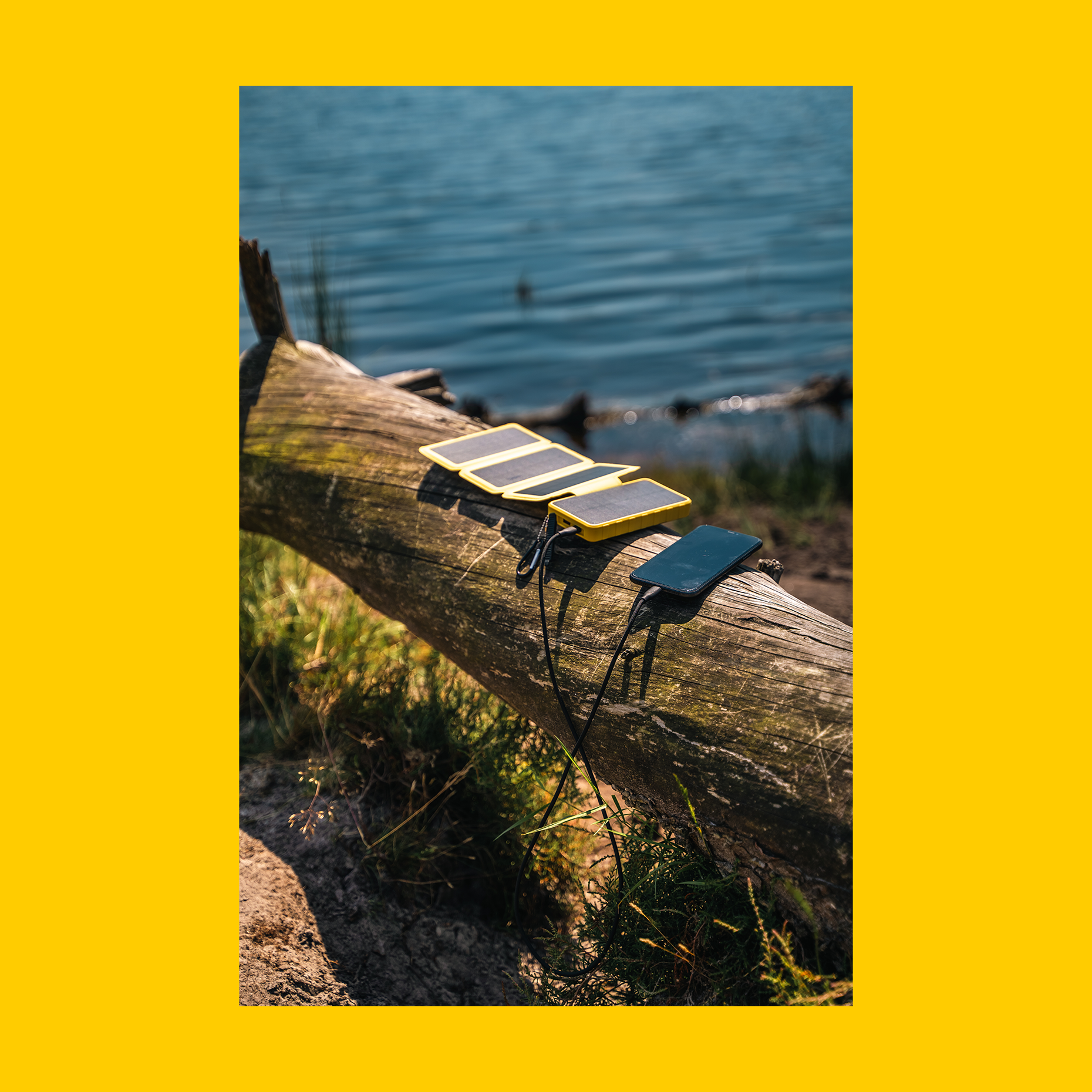 Powerbank Powerbird BS10 10000 mAh